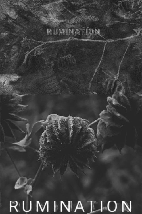 RUMINATION filmyzilla