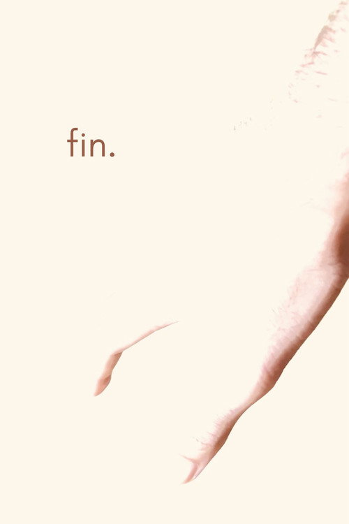 The End filmyzilla