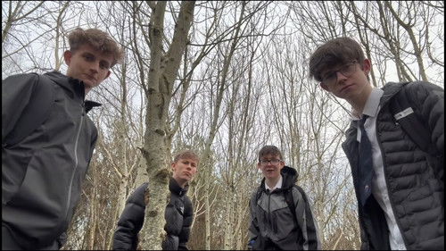 A Wise Mystical Christmas