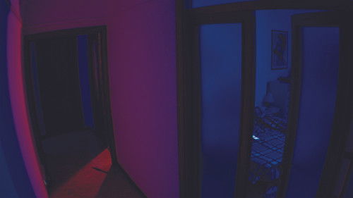 All'ordine della notte