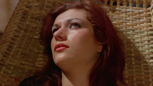 Around the World in 80 Beds