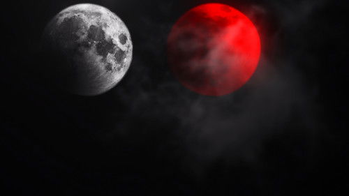 Not All Movies Are the Same: Dual