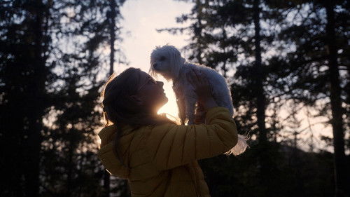 Small Dogs Bark Loud