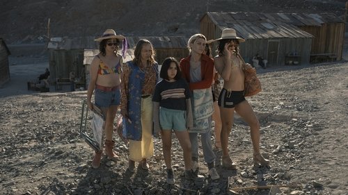 The Mysterious Gaze of the Flamingo