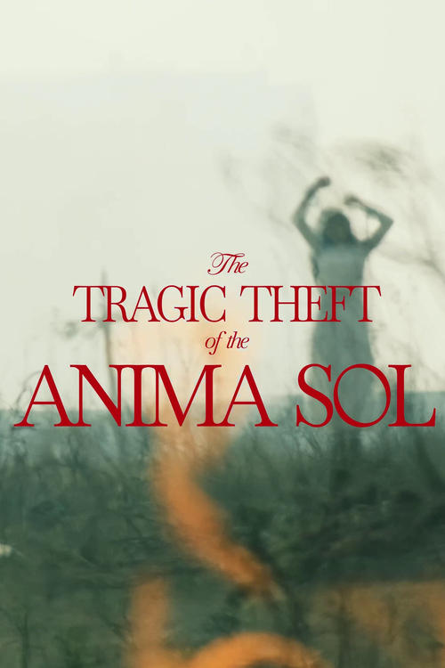 The Tragic Theft of The Anima Sol