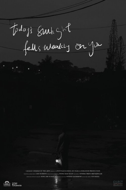 Today's Sunlight Falls Weakly on You