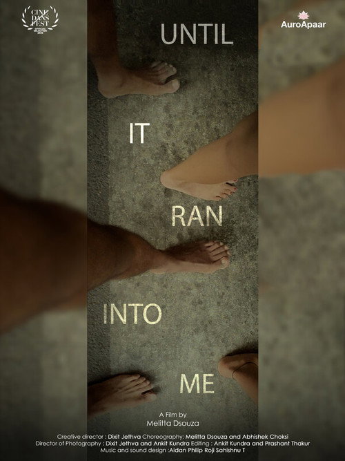 Until It Ran Into Me