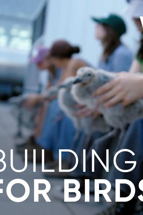 Wild Hope: Building for Birds