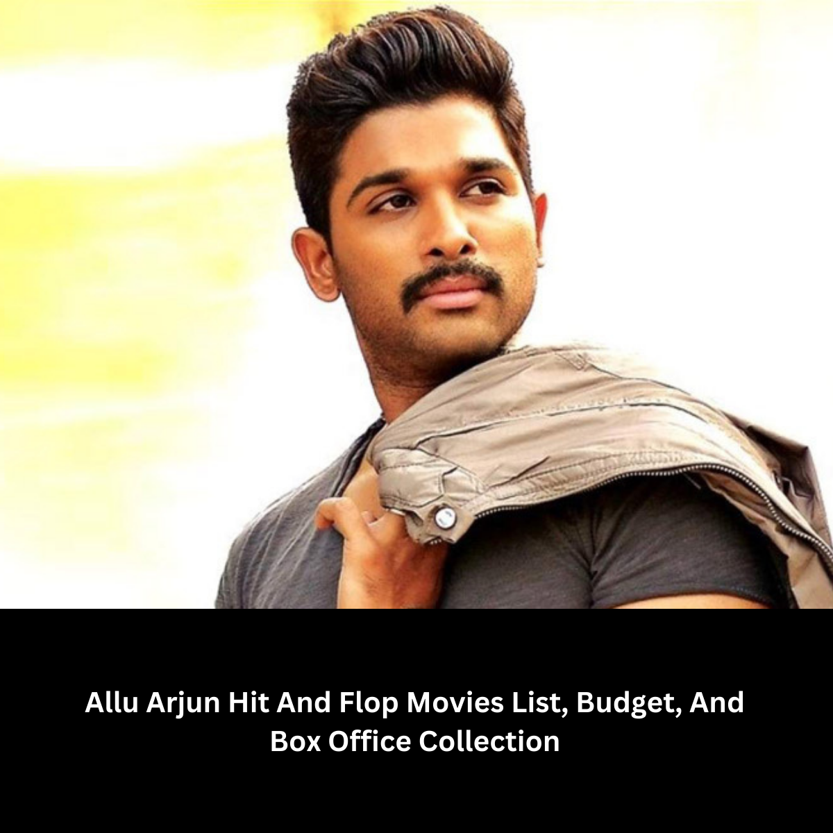 Allu Arjun Hit And Flop Movies List, Budget, And Box Office Collection